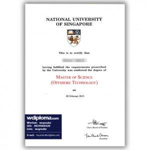 National University of Singapore diploma